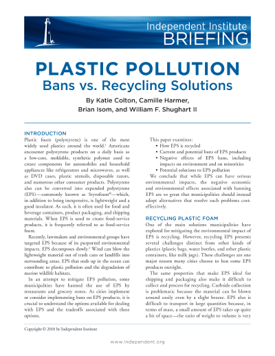 research paper on plastic pollution pdf
