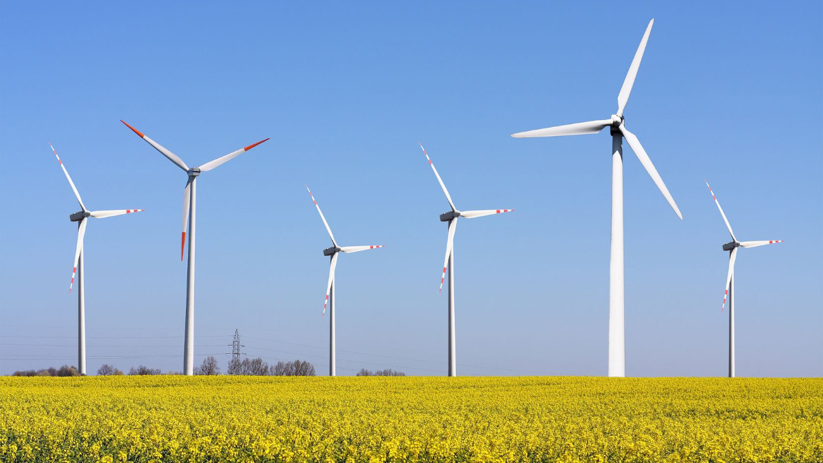 Wind Power Sources Remain More Fantasy than Reality: News: The Independent  Institute