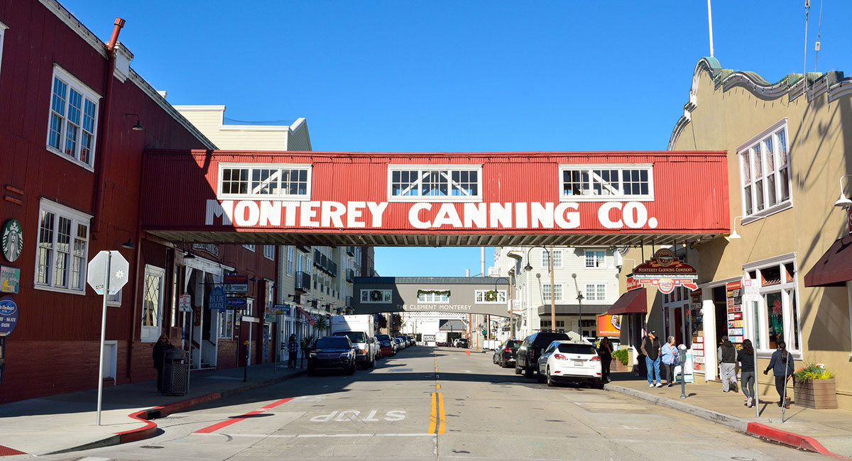 montereycanning_1200x650